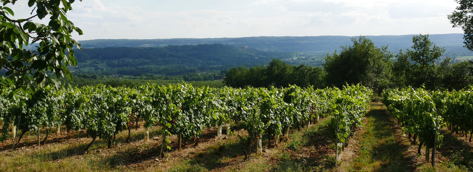 Toutes les actualités de Glanes